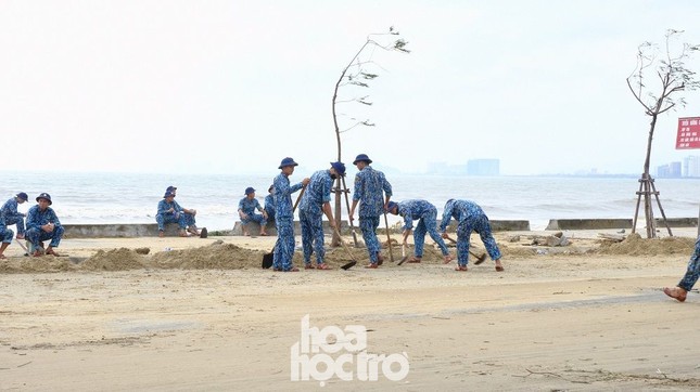 Đà Nẵng sau cơn cuồng phong bão số 9: Mỗi người một tay dọn dẹp cảnh ngổn ngang ảnh 4