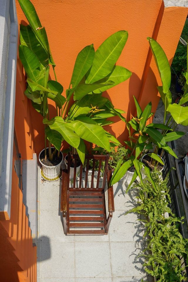 Top 15 homestay xinh yêu dưới 500K ở Sài Gòn nhất định bạn phải ghé (phần 1) ảnh 14