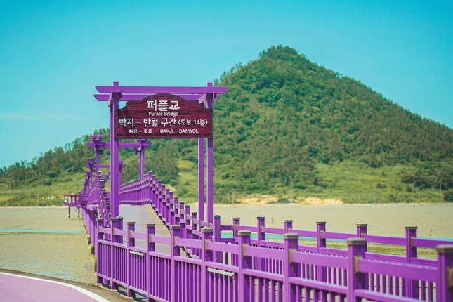 Có gì hấp dẫn ở đảo Banwol - hòn đảo “tím lịm tìm sim” ở phía Nam Hàn Quốc? ảnh 7