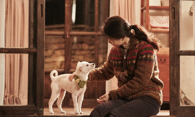Cuộc thi viết Trà sữa cho tâm hồn: Lá thư từ vương quốc từng bị loài mọt chiếm giữ ảnh 2