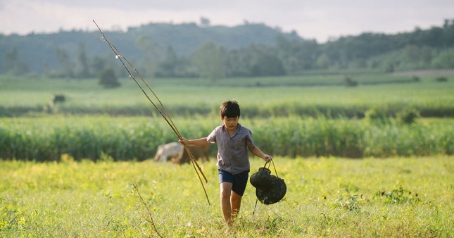 Cuộc thi viết Trà sữa cho tâm hồn: Mùi mía đường ướp mật ngọt ngào tuổi thơ tôi ảnh 2
