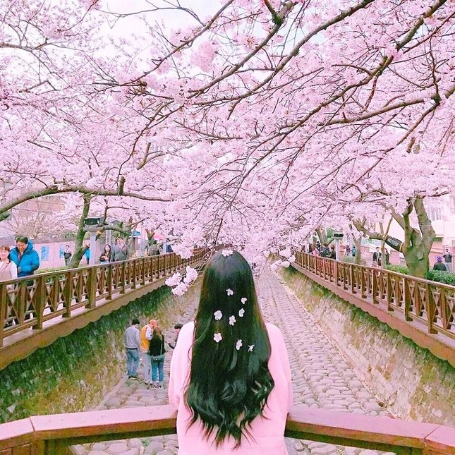 Cuộc thi viết Trà sữa cho tâm hồn: Em ơi đừng đợi nữa, kẻo thanh xuân úa tàn ảnh 1