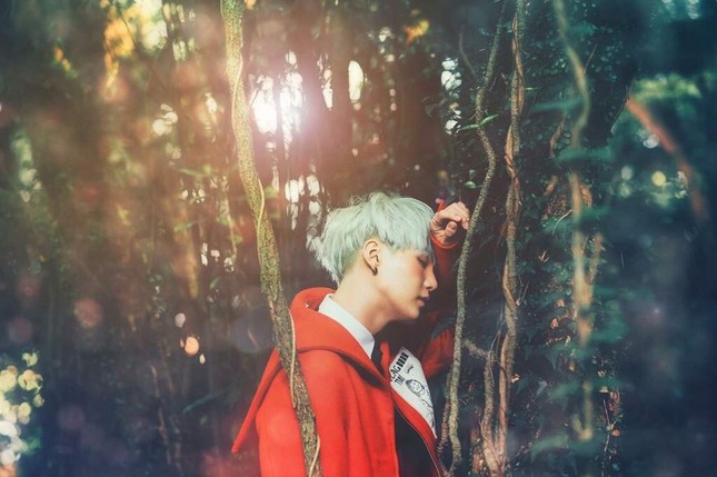 Trong thế giới fangirl: Người ấy đã đến và trao cho tôi những “mùa hoa Saranghae” ảnh 2