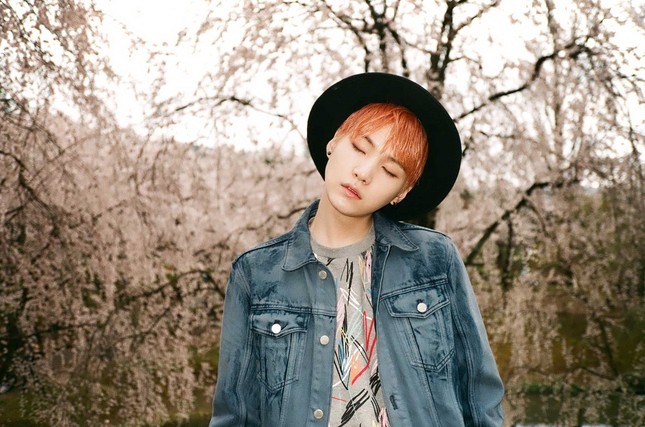 Trong thế giới fangirl: Min Yoongi là cây xương rồng đẹp nhất trong lòng mình ảnh 1