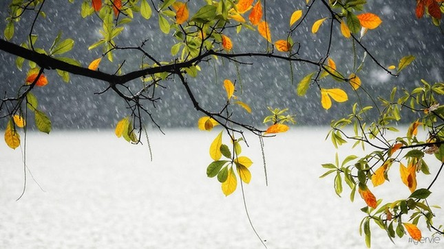 Thu đã vàng ươm rụng đầy trước cửa, thế mà lũ trẻ chúng tôi vẫn đang nghỉ Hè ảnh 2
