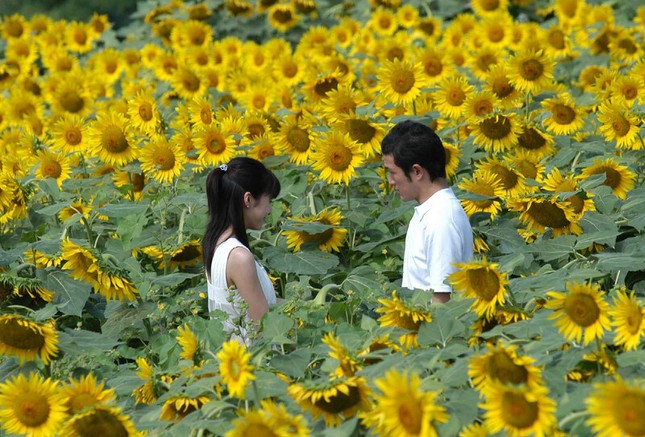 Như bộ phim kinh điển “Be With You”, Yuko Takeuchi sẽ mãi sống trong lòng khán giả ảnh 3