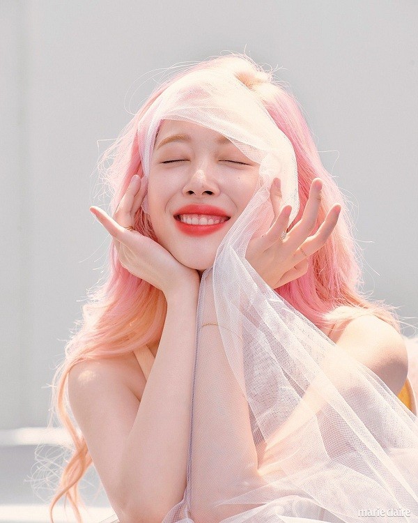 Một năm ngày không còn Sulli: Dù ở bất cứ đâu, mong bông hoa tuyết lê hạnh phúc! ảnh 2