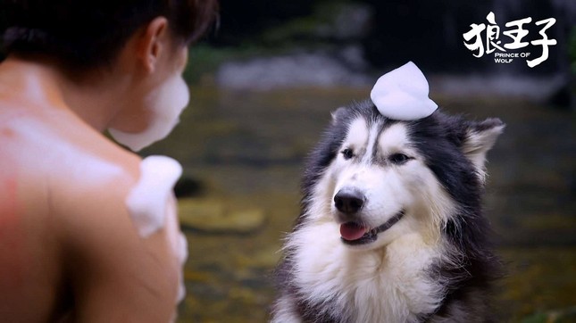 Khi các “hoàng thượng” đi đóng phim”: Lang Điện Hạ phải đặc biệt tìm “diễn viên nhí“! ảnh 11