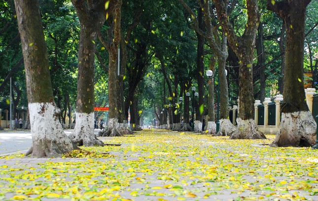 Bạn đọc sáng tác: Người yêu dấu ơi, anh mơ gì giữa lòng Hà Nội? ảnh 1
