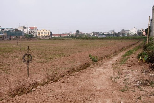 'Bất thường' khu đất bỏ hoang được AVG mua gấp 17 lần ảnh 1