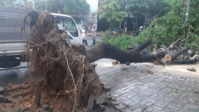 Cây đổ hàng loạt, mất điện, hàng nghìn nhà tốc mái do bão số 5 ảnh 13