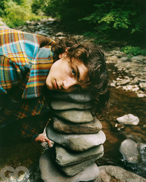Chuyện giờ mới kể của Timothée Chalamet: Từng ở ẩn một tháng để “trốn” sự nổi tiếng ảnh 1