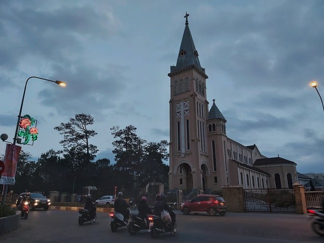 Dẫu mai anh đào đang mùa nở rộ, Đà Lạt những ngày cuối năm vẫn vắng lặng lạ thường ảnh 6