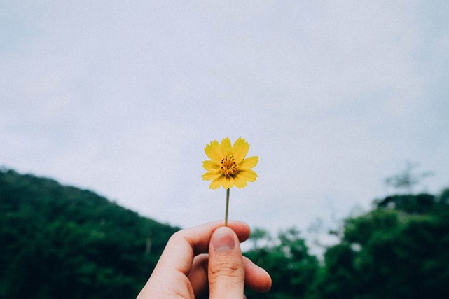Không thể vì một cái tô đựng cũ ỉn mà bỏ qua phần mì tôm ngon lành thú vị ảnh 3
