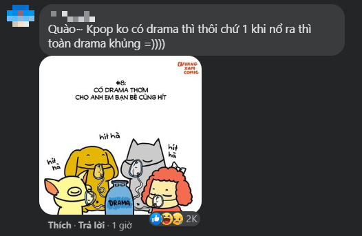 Cuộc chiến của fan quốc tế và netizen Hàn còn nóng hơn cả scandal lăng mạ của Irene ảnh 8