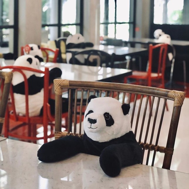 Nhà hàng Việt tại Thái Lan sử dụng nhân viên... gấu trúc để "tiếp chuyện" thực khách ảnh 3