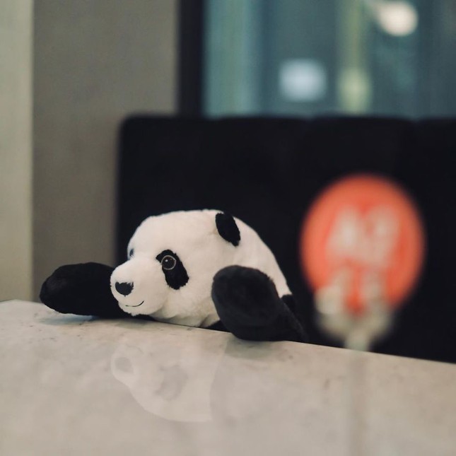 Nhà hàng Việt tại Thái Lan sử dụng nhân viên... gấu trúc để "tiếp chuyện" thực khách ảnh 5