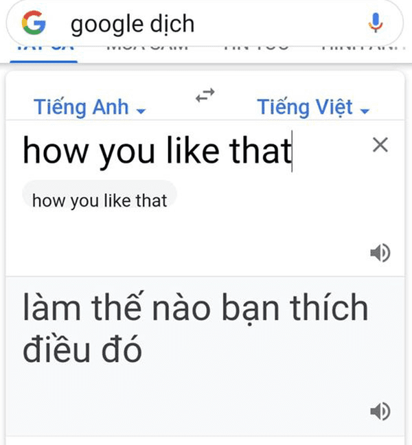 Blink Việt bỗng dưng “nhức não” khi MisThy thắc mắc “How You Like That” nghĩa là gì?” ảnh 3
