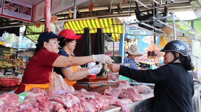 Dịch tả lợn châu Phi càn quét, nhiều hộ nuôi tự cứu mình, cứu lợn ảnh 1