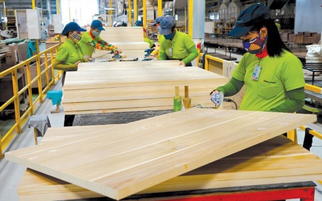 Năm 2020, xuất khẩu nông lâm thủy sản hướng đến mục tiêu 43 tỷ USD ảnh 2