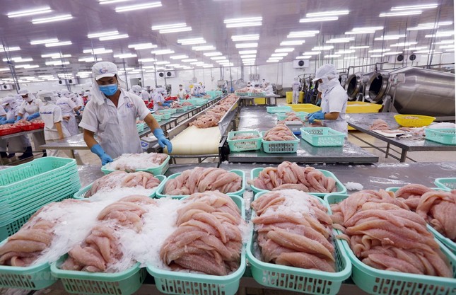 Năm 2020, xuất khẩu nông lâm thủy sản hướng đến mục tiêu 43 tỷ USD ảnh 1