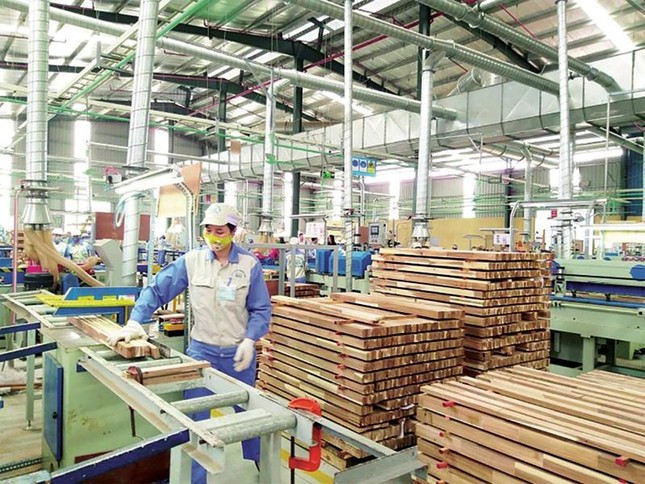Chủ tịch VCCI nói về cơ hội vàng EVFTA trong bối cảnh dịch covid-2019 lan rộng ảnh 1