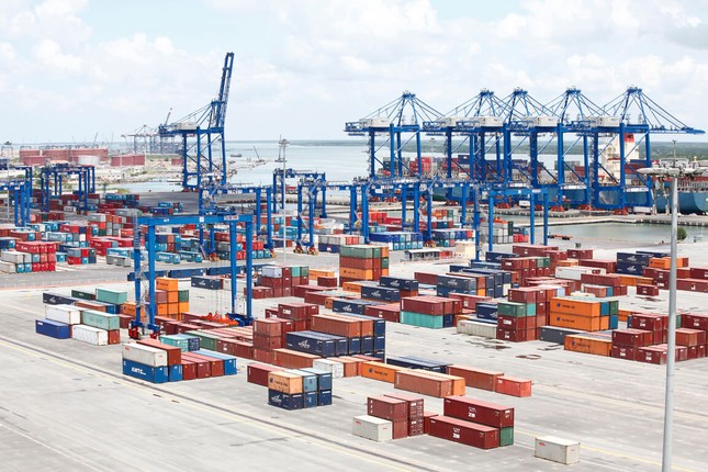 Hàng mắc tại cảng vì dịch COVID-19, kiến nghị giảm 50% phí cắm điện ảnh 1