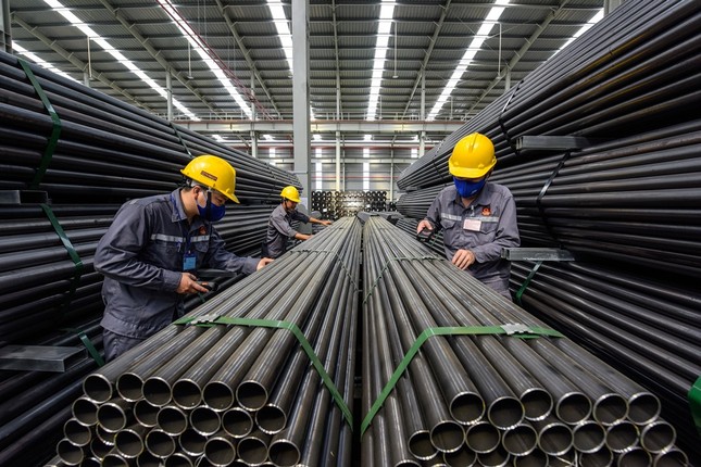 Tập đoàn Hoa Sen bất ngờ muốn phát triển chuỗi bán lẻ vật liệu xây dựng ảnh 1