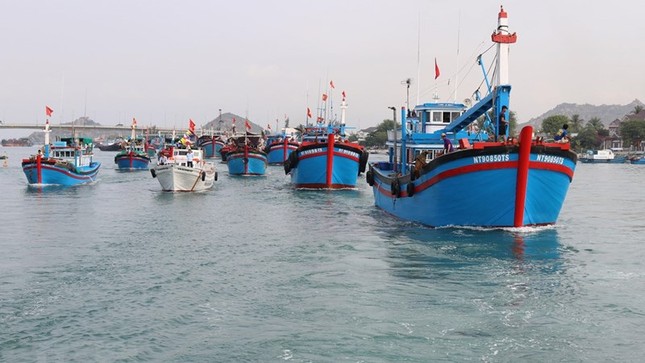 Để gỡ 'thẻ vàng' của EC: Nhiều địa phương 'siết' chặt quản lý tàu cá ảnh 1