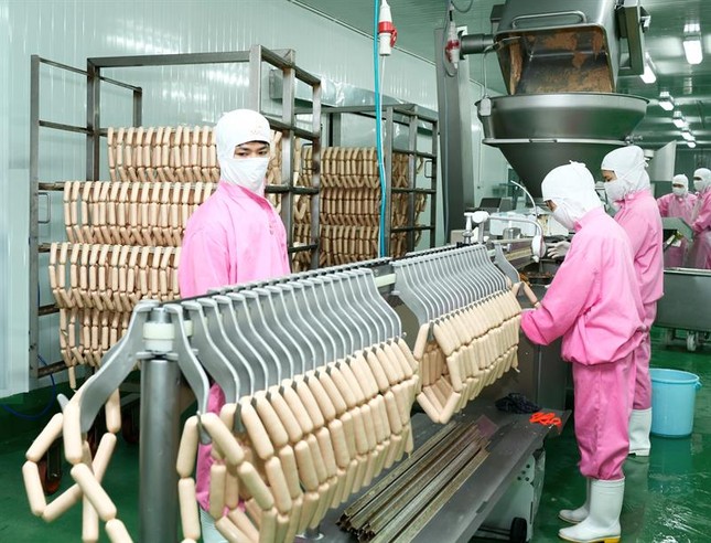 Mô hình chăn nuôi khép kín 'chế ngự' dịch tả lợn châu Phi ảnh 2