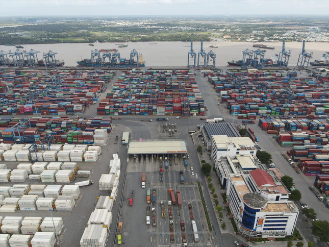 Doanh nghiệp kêu trời vì thiếu tài xế xe container ảnh 1