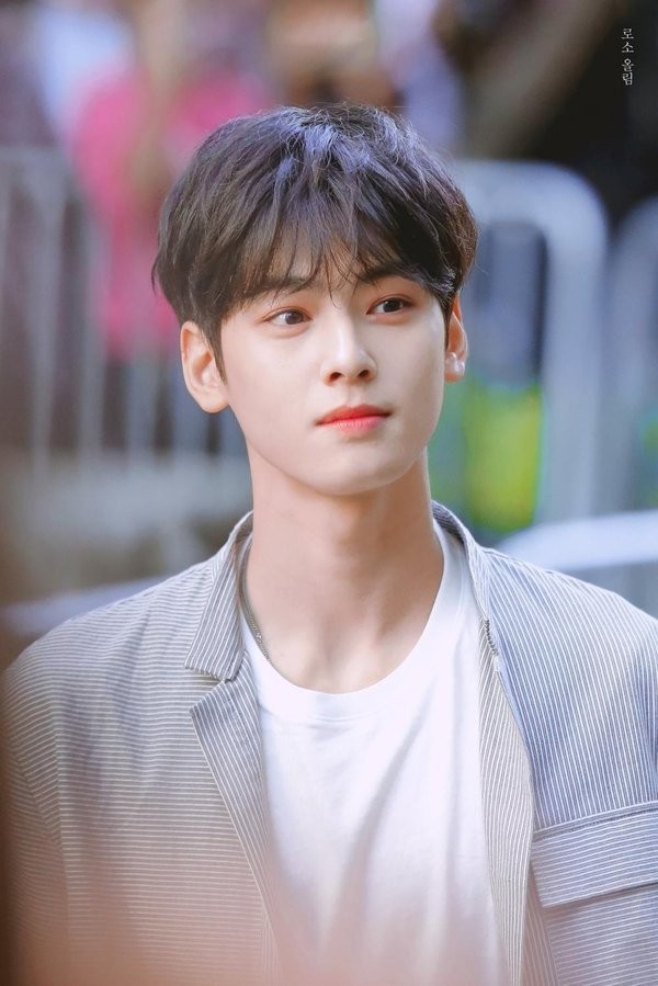 Trước khi xảy ra scandal “Itaewon”, Cha Eun Woo từng được yêu thích như thế nào? ảnh 1
