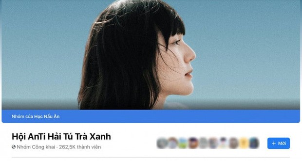 Giữa cơn bão tẩy chay, hàng loạt group anti-fan của Hải Tú đồng loạt “bay màu”? ảnh 2