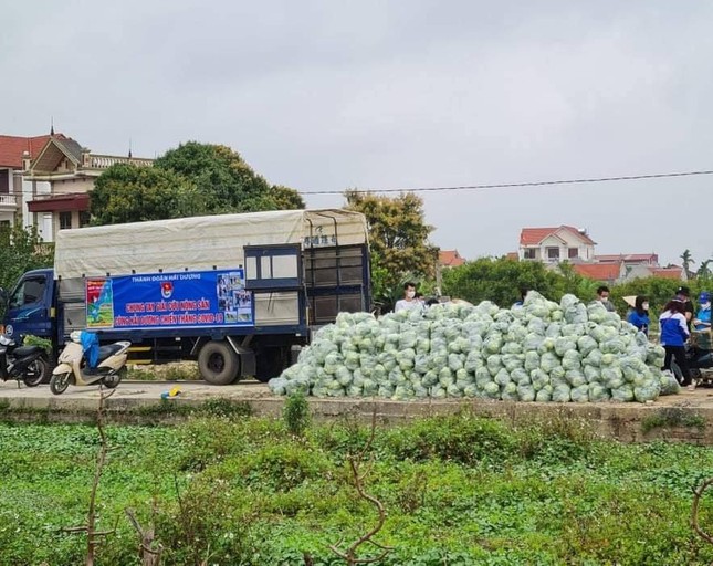 Tuấn Hưng kêu gọi bạn bè cùng chung tay “giải cứu” nông sản cho bà con Hải Dương ảnh 2