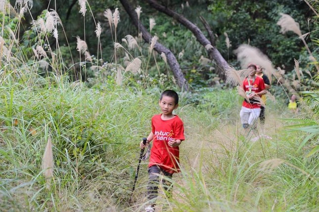 Gia đình trên đường chạy Tiền Phong Marathon 2019 ảnh 2