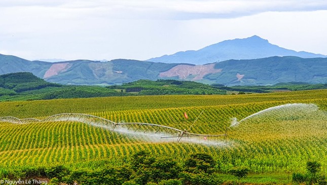 'Bông hoa' điển hình tiên tiến trên quê hương Bác ảnh 4