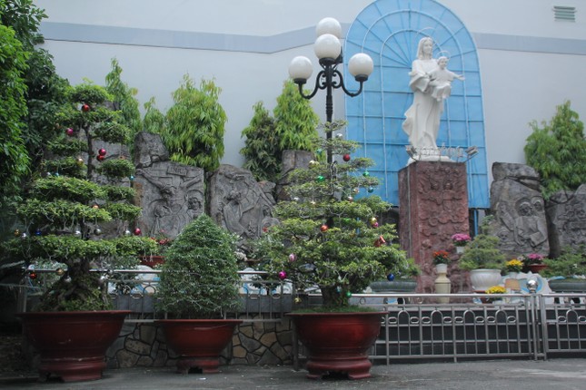 Xóm đạo Sài Gòn trang hoàng lung linh đón Giáng sinh ảnh 18
