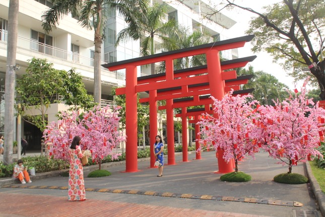 Hội hoa xuân Phú Mỹ Hưng mang cảnh trí các nước lân cận để chia sẻ với du khách không về nước dịp Tết ảnh 19