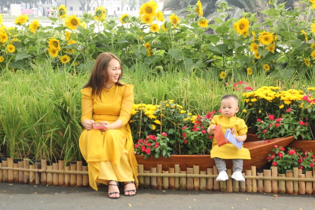 Hội hoa xuân Phú Mỹ Hưng mang cảnh trí các nước lân cận để chia sẻ với du khách không về nước dịp Tết ảnh 12