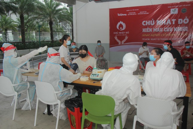 Bạn trẻ, người nước ngoài ở TPHCM chia sẻ giọt máu hồng trong chương trình Chủ nhật Đỏ ảnh 5