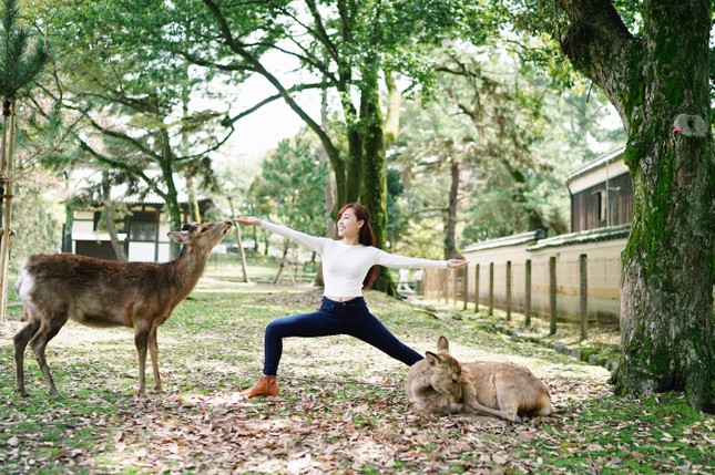 Cô gái tạo dáng yoga tại những cảnh đẹp mê ly khắp thế giới ảnh 4