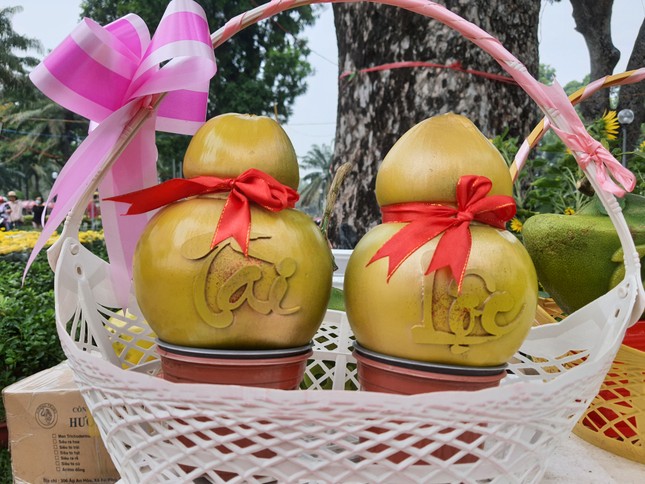 Bưởi Tài Lộc, dừa hồ lô độc đáo tiền triệu thu hút khách chơi Tết ảnh 6