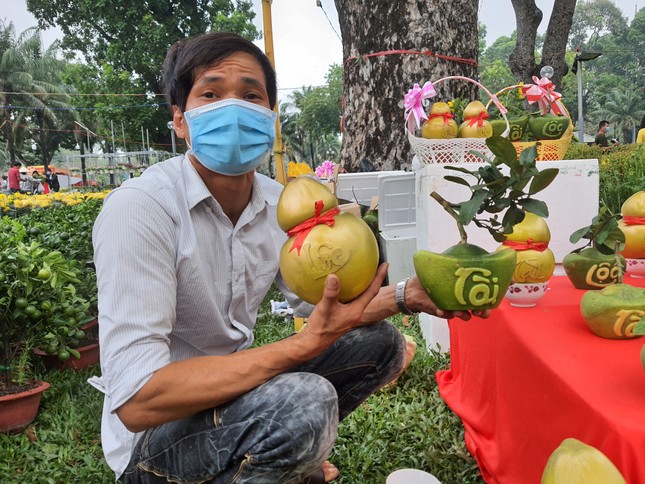 Bưởi Tài Lộc, dừa hồ lô độc đáo tiền triệu thu hút khách chơi Tết ảnh 1