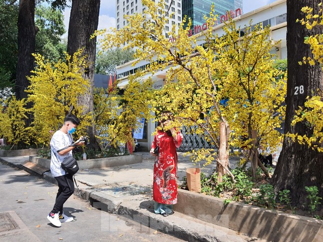 TPHCM: Đóng cửa phố ông đồ vì dịch COVID-19, nhiều người nuối tiếc ảnh 8