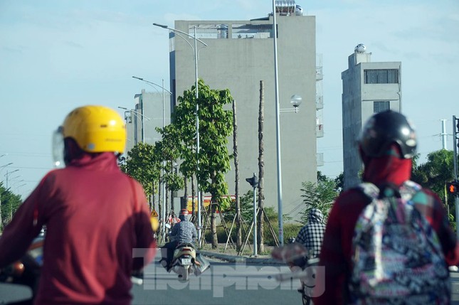 Hàng loạt cây xanh chết khô trên đường 'nghìn tỷ' ở Hà Nội ảnh 9