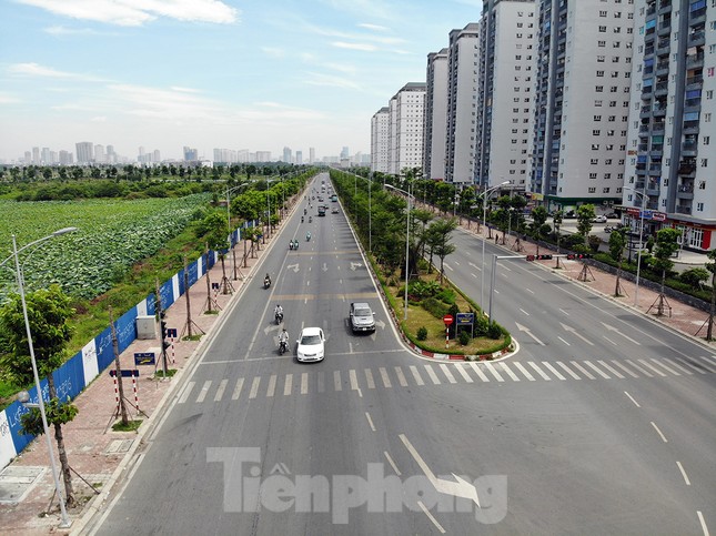 Hàng loạt cây xanh chết khô trên đường 'nghìn tỷ' ở Hà Nội ảnh 1