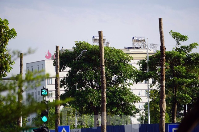 Hàng loạt cây xanh chết khô trên đường 'nghìn tỷ' ở Hà Nội ảnh 4