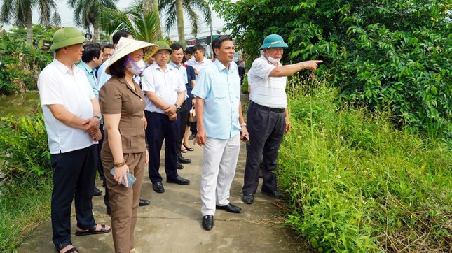 Hải Phòng phê bình lãnh đạo huyện Kiến Thụy vì chậm thực hiện dự án ảnh 1