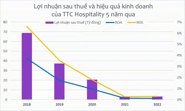 Bất ngờ việc kinh doanh của công ty nhà đại gia sở hữu chuỗi khách sạn 'khủng' ảnh 2