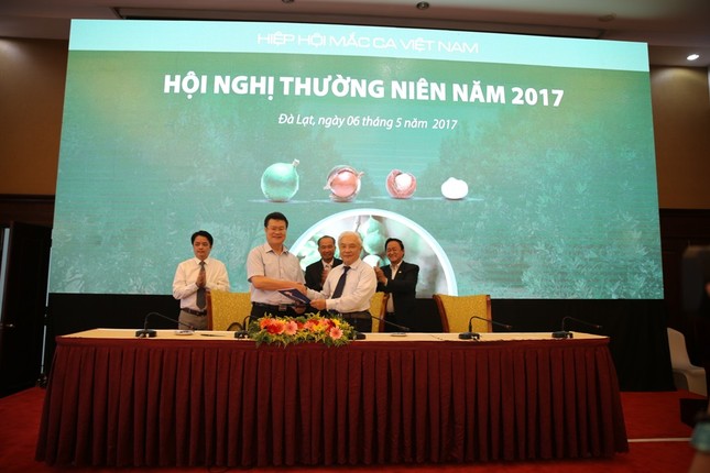 Hiệp hội Mắc Ca Việt Nam tổ chức hội nghị thường niên năm 2017 ảnh 2